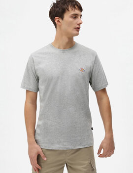 camiseta manga corta dickies  MAPLETON gris