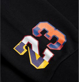 SUDADERA JORDAN DE CAPUCHA  DNA HBR FLEECE PO