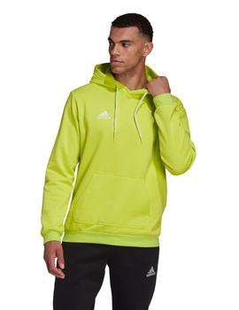 SUDADERA ADIDAS DE CAPUCHA PISTACHO, HOMBRE