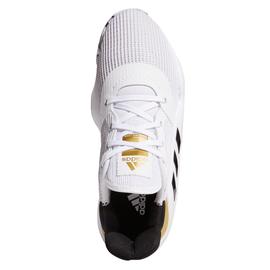 ZAPATILLA ADIDAS BALONCESTO PRO BOUNCE 2019 LOW