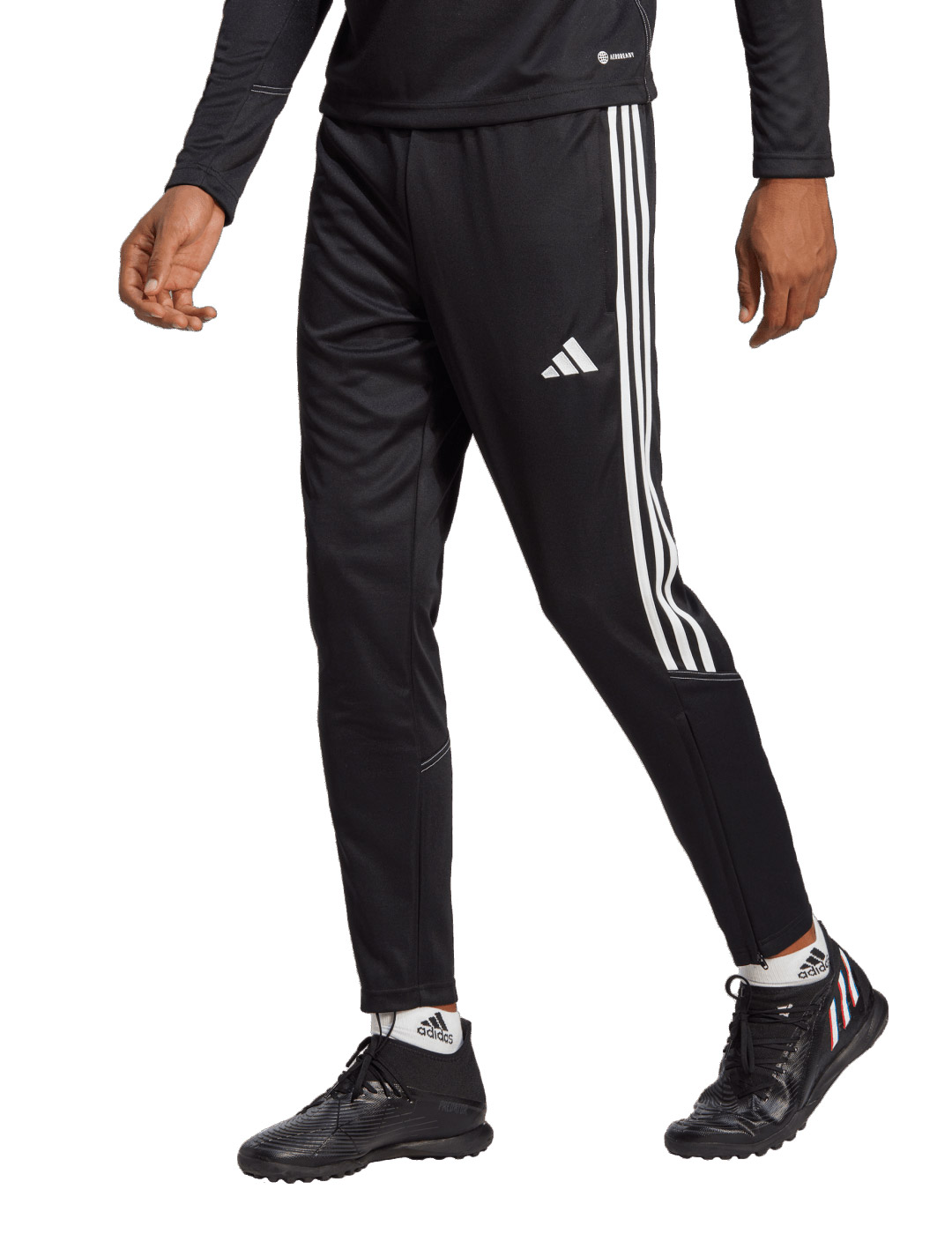 1670597677375 hs3619 3 apparel on model standard view transparent