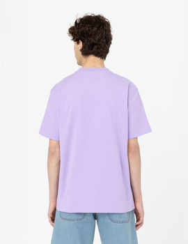 camiseta manga corta dickies hombre PORTERDALE, morado