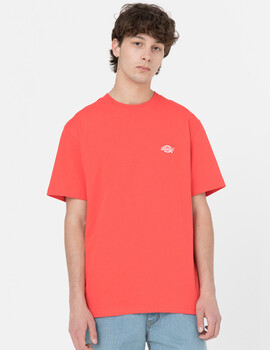 camiseta manga corta hombre, dickies  SUMMERDALE naranja