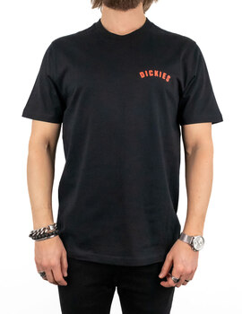 camiseta manga corta dickies hombre KERBY TEE, blanco