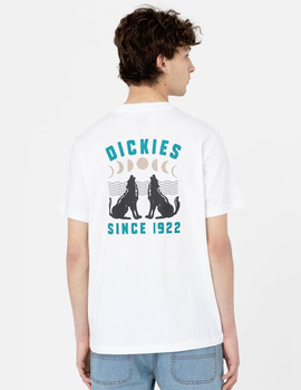 camiseta manga corta dickies hombre KERBY TEE , blanco