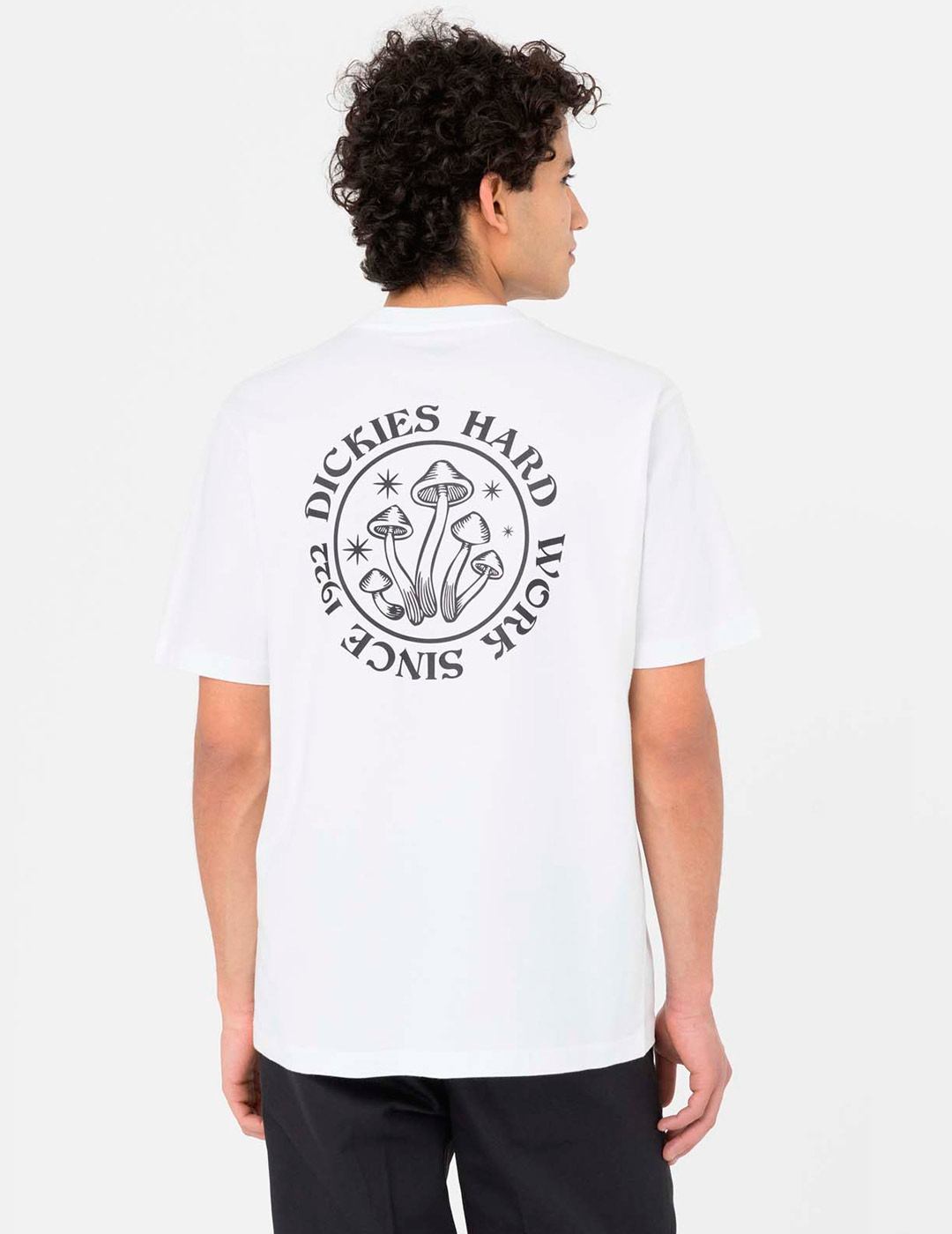 camiseta dickies hombre manga corta BAYSIDE GARDENS, blanco