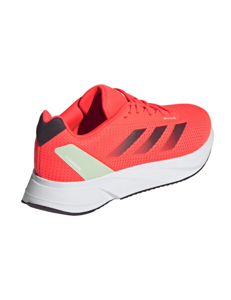 Gallery 1706776871719 id8360 7 footwear photography back lateral top view transparent