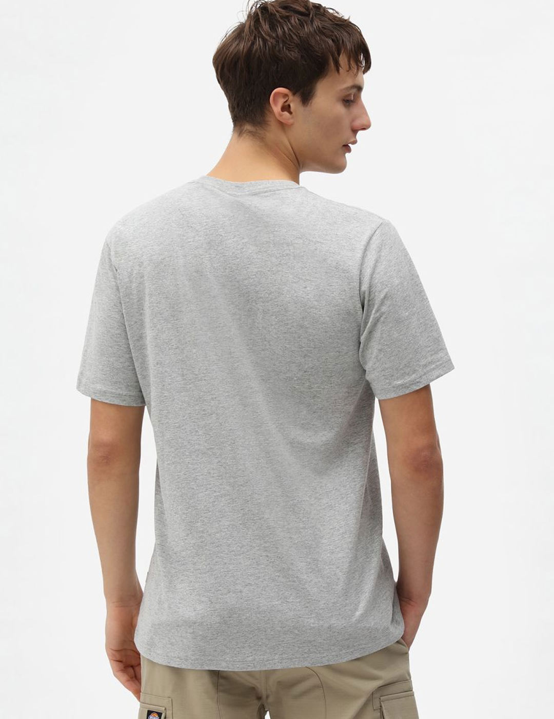 camiseta manga corta dickies  MAPLETON gris