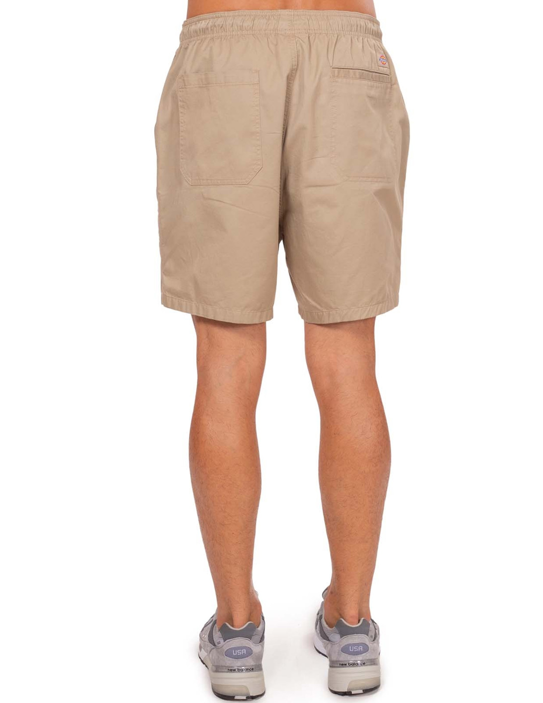 bermuda hombre dickies PELICAN RAPIDS DESERT, camel