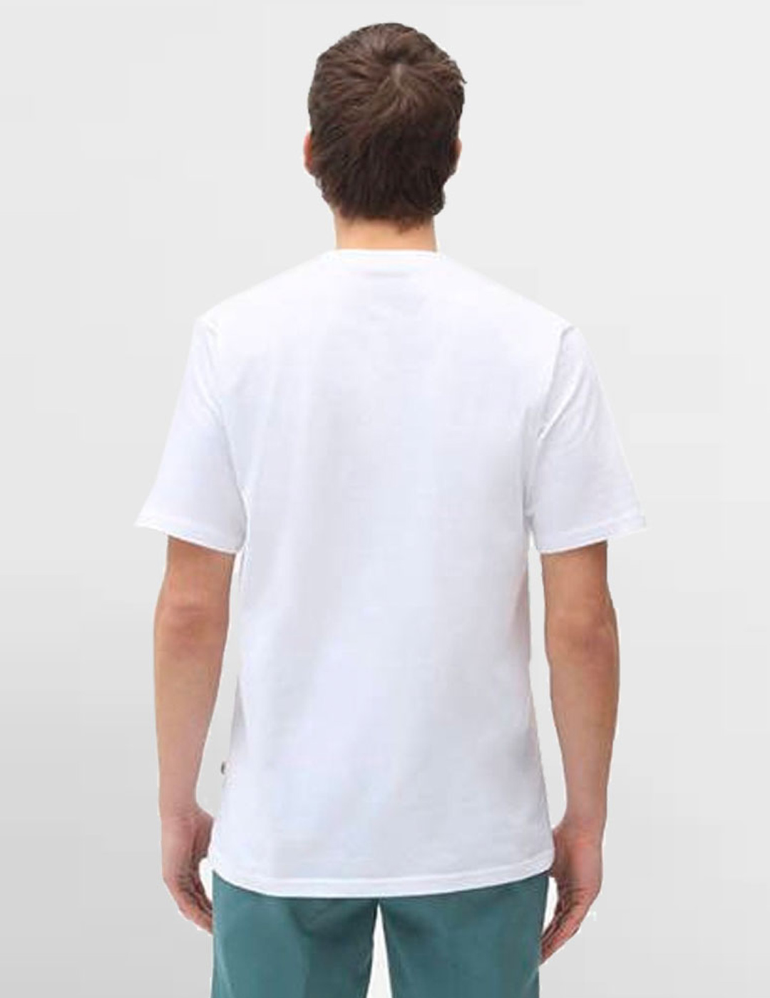 camiseta hombre dickies ICON LOGO , blanco