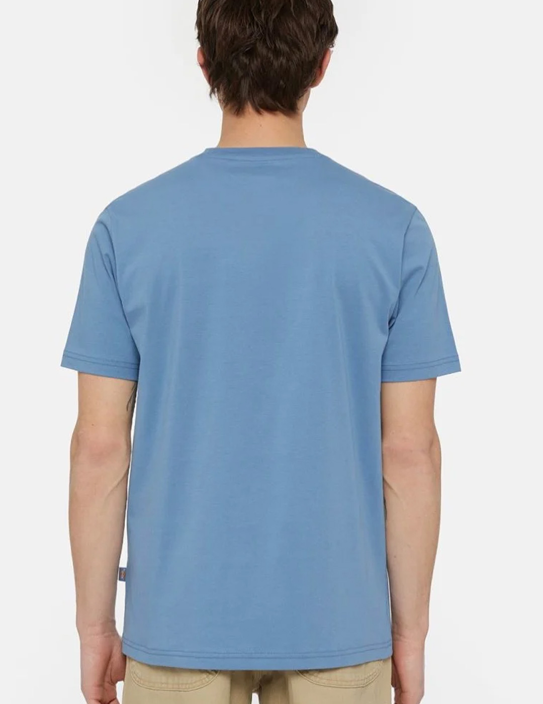 camiseta manga corta dickies  MAPLETON azul