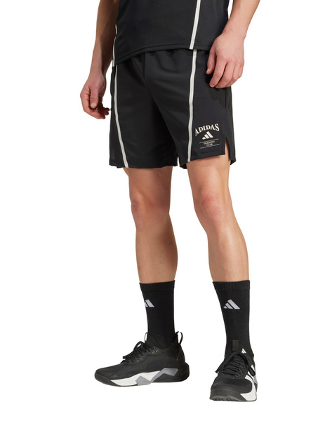 Gallery 1761748177616 ka5283 2 apparel on model standard view white