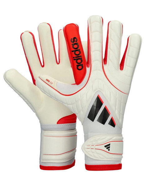 Gallery 1775828434742 sin t%c3%adtulo 1