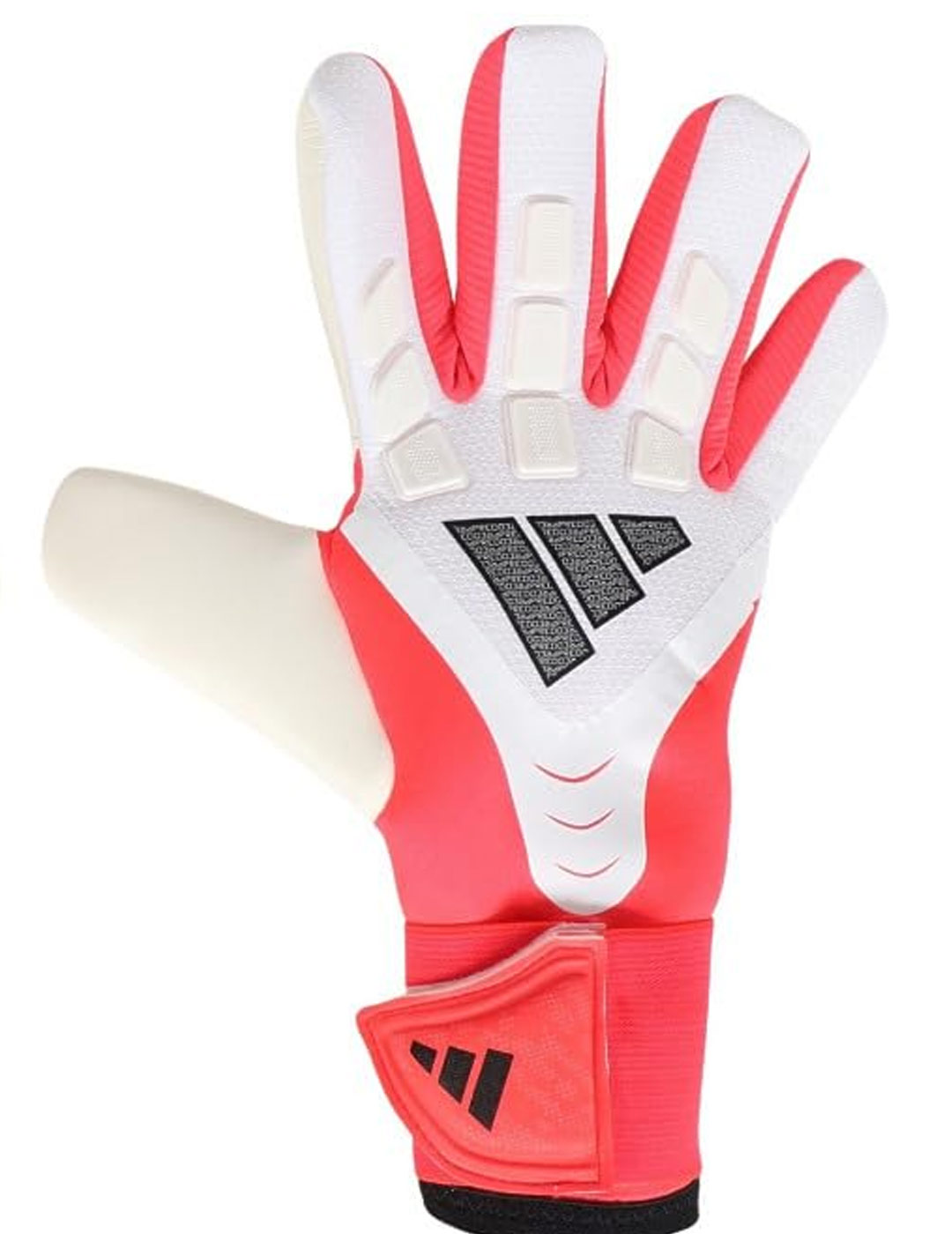 1775829043986 sin t%c3%adtulo 10