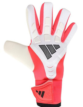 Thumb 1775829043986 sin t%c3%adtulo 10