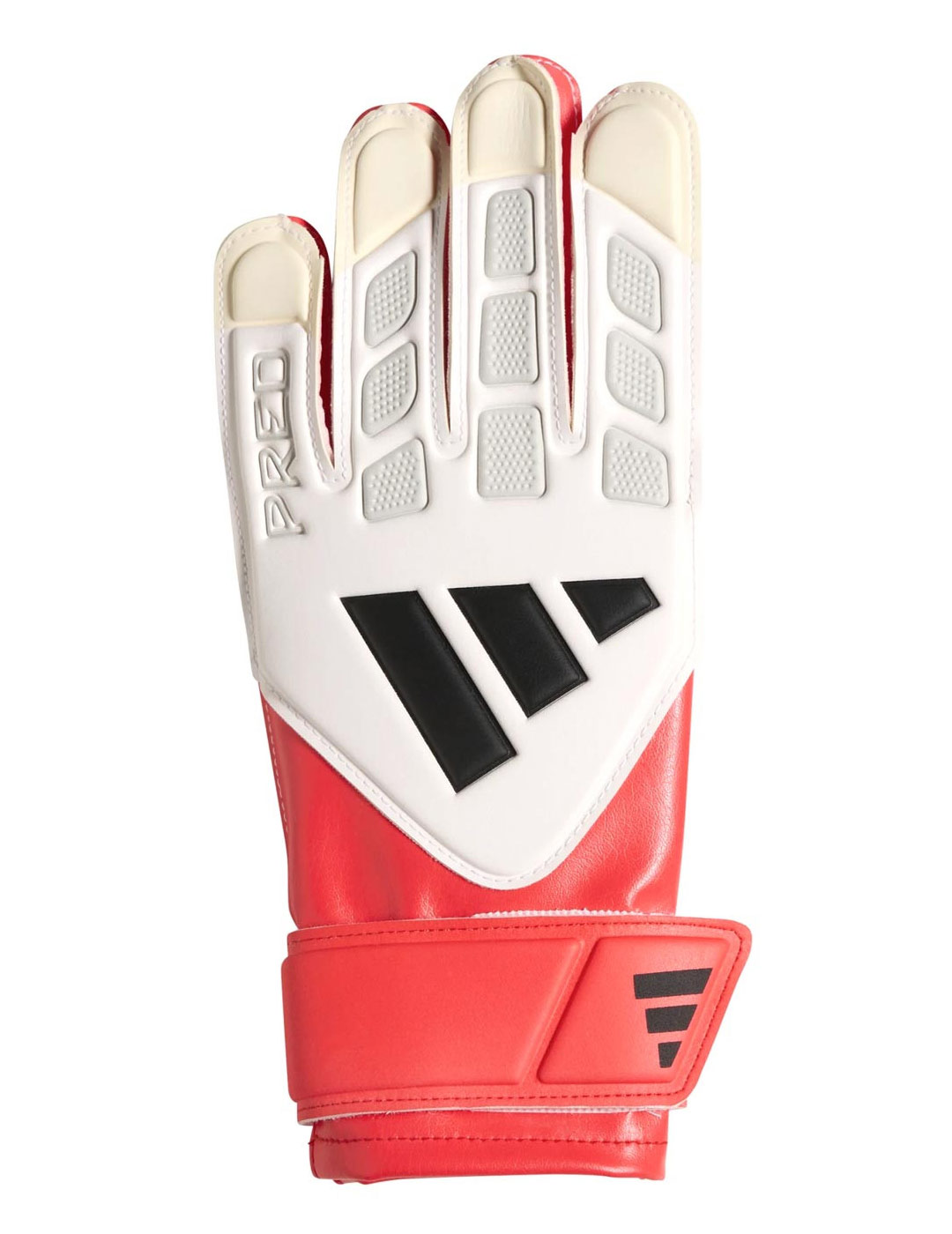 1775831154147 sin t%c3%adtulo 15