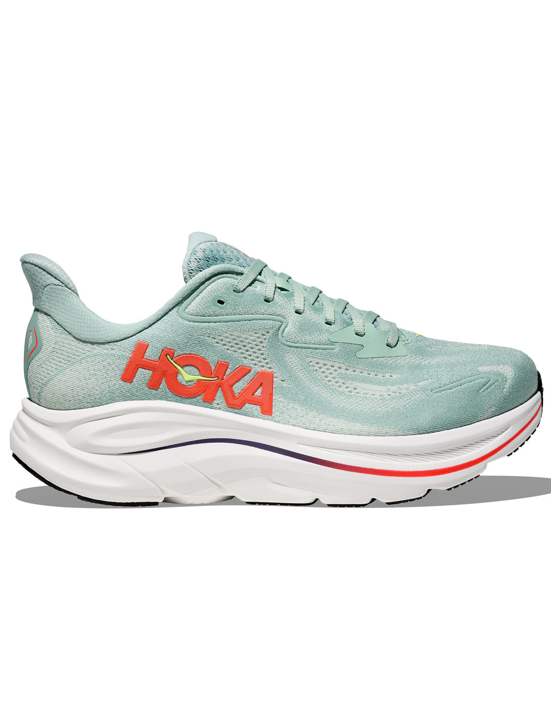 1776153293087 1162030 sgnn 1