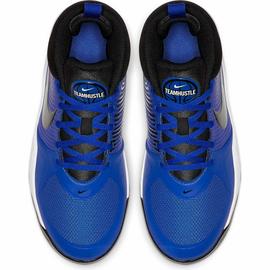 ZAPATILLA BALONCESTO NIKE TEAM HUSTLE D 9 JR.