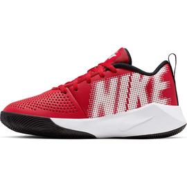 ZAPATILLA BALONCESTO NIKE TEAM HUSTLE QUICK 2 