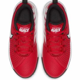 ZAPATILLA BALONCESTO NIKE TEAM HUSTLE QUICK 2 